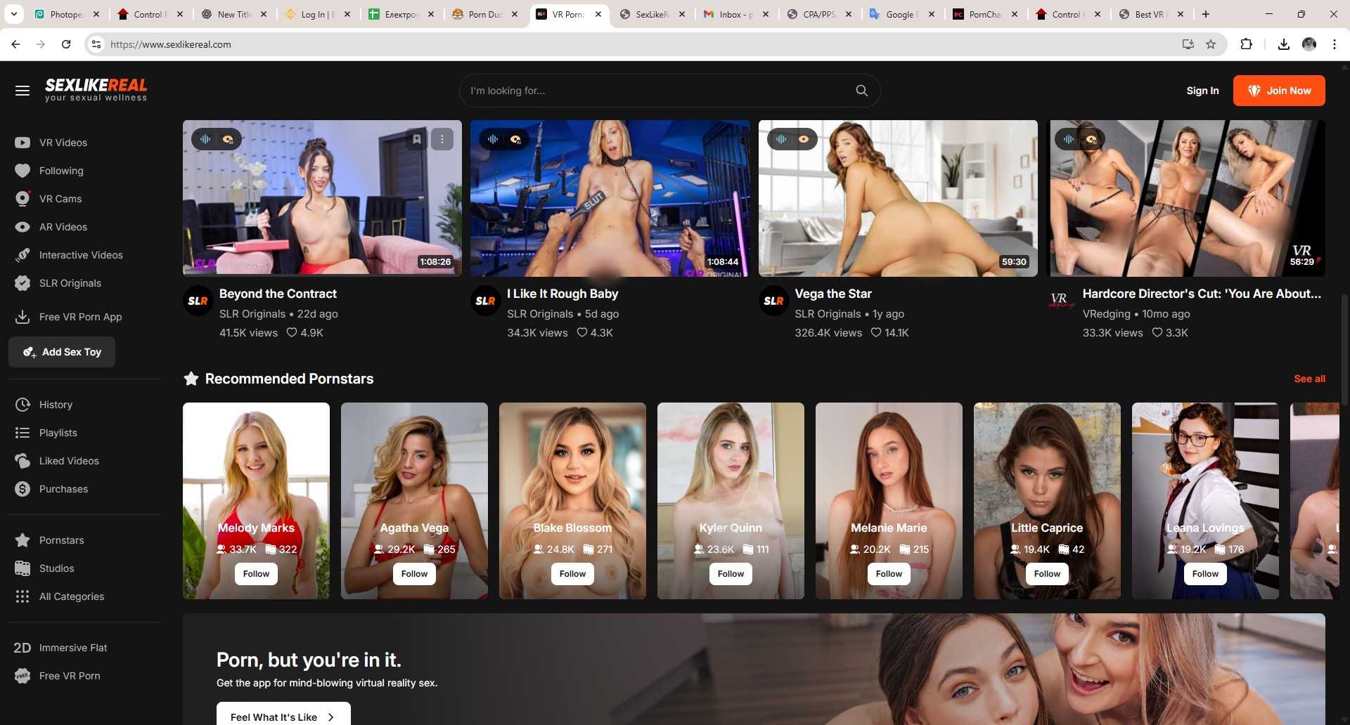 SexLikeReal VR porn service