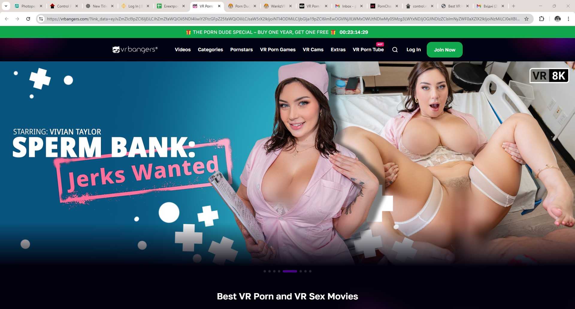 VRBangers premium VR porn studio